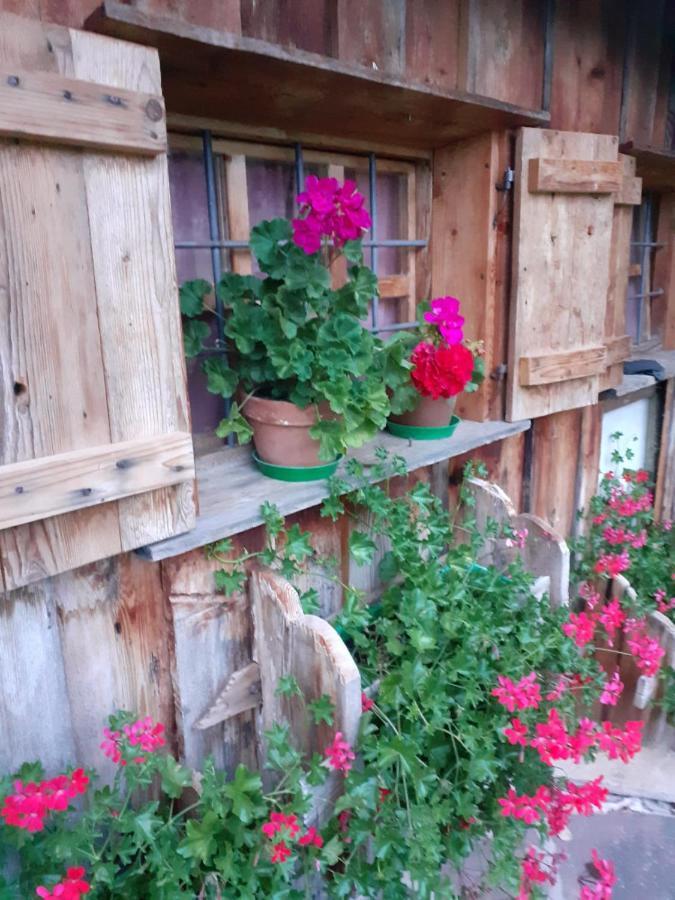 Apartament Maso Pinterato Cavalese Zewnętrze zdjęcie